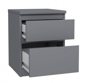2.03.03.050.4 КАСТОР тумба 2 ящика RU серая в Ишиме - ishim.ok-mebel.com | фото 2
