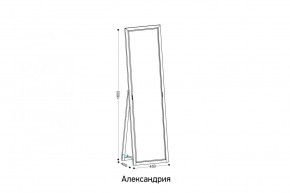 АЛЕКСАНДРИЯ-9.1 Зеркало напольное в Ишиме - ishim.ok-mebel.com | фото 2