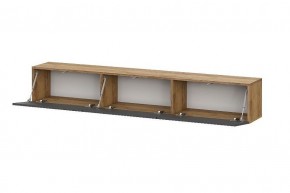 БАЙКАЛ Тумба (Графит/Дуб золотой) в Ишиме - ishim.ok-mebel.com | фото 2