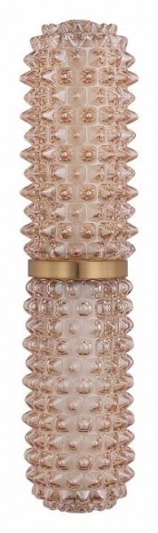 Бра ST-Luce SAGUARO SL6144.301.01 в Ишиме - ishim.ok-mebel.com | фото 4