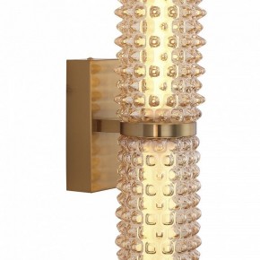 Бра ST-Luce SAGUARO SL6144.301.01 в Ишиме - ishim.ok-mebel.com | фото 6