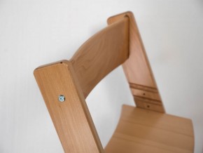 Детский растущий стул из бука Премиум Конёк Горбунёк (Светлый бук) в Ишиме - ishim.ok-mebel.com | фото 3