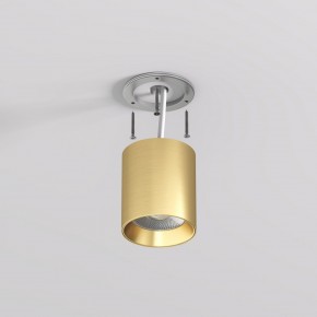 DK2610-SB Накладной светильник SHINE TUBE со светодиодом, D70*H80, IP20, 3000К, 10W, RA?90, сатинированная латунь, алюминий в Ишиме - ishim.ok-mebel.com | фото 3