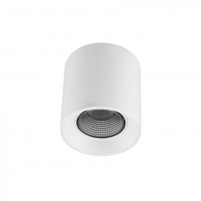 DK3090-WH+CH Светильник накладной IP 20, 10 Вт, GU5.3, LED, белый/хром, пластик в Ишиме - ishim.ok-mebel.com | фото