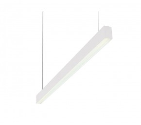 DK9124-WH Линейный светильник 30W 1250mm 4000K, белый в Ишиме - ishim.ok-mebel.com | фото