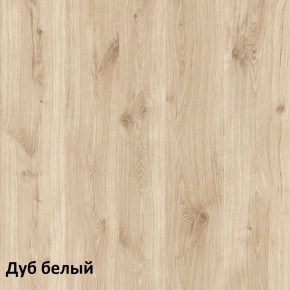 Эйп Шкаф для одежды 13.334 в Ишиме - ishim.ok-mebel.com | фото 5