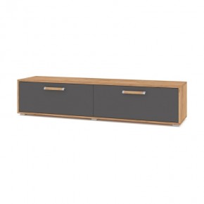 ФЛОРИДА Ф31 Тумба ТВ (дуб золотой/графит) в Ишиме - ishim.ok-mebel.com | фото
