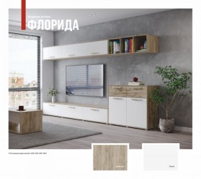 ФЛОРИДА Гостиная (модульная) дуб серый/белый в Ишиме - ishim.ok-mebel.com | фото