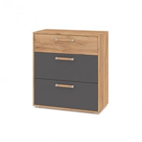 ФЛОРИДА Гостиная (модульная) дуб золотой/графит в Ишиме - ishim.ok-mebel.com | фото 8