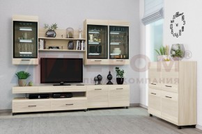 Гостиная Камелия Композиция 8 (Ясень Асахи) в Ишиме - ishim.ok-mebel.com | фото