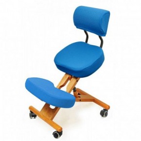 Коленный стул со спинкой Smartstool KW02В + Чехлы в Ишиме - ishim.ok-mebel.com | фото 2