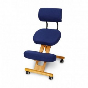 Коленный стул со спинкой Smartstool KW02В + Чехлы в Ишиме - ishim.ok-mebel.com | фото 3