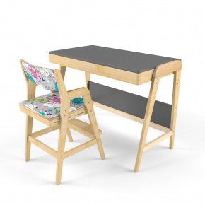Комплект растущий стол и стул с чехлом 38 попугаев «Вуди» (Серый, Без покрытия, Мечта) в Ишиме - ishim.ok-mebel.com | фото