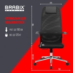 Кресло BRABIX PREMIUM "Ultimate EX-801" хром, плотная двойная сетка Х2, черное, 532917 в Ишиме - ishim.ok-mebel.com | фото 7