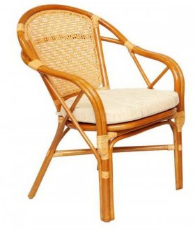 Кресло из ротанга Петани в Ишиме - ishim.ok-mebel.com | фото 1