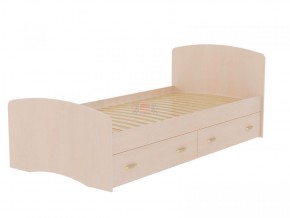 Кровать-6 одинарная с 2-мя ящиками (900*2000) в Ишиме - ishim.ok-mebel.com | фото 4