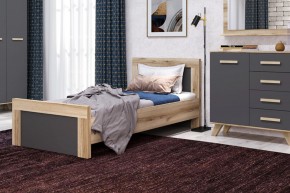 Кровать 900 Вега Скандинавия в Ишиме - ishim.ok-mebel.com | фото 3
