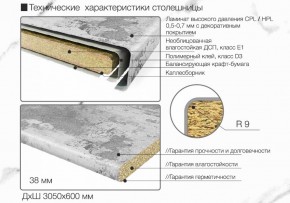 Кухонный фартук со столешницей (А-011) в едином стиле (3050 мм) в Ишиме - ishim.ok-mebel.com | фото 6