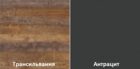 Кухонный гарнитур угловой Трансильвания 2600х1600 мм (Стол. 38 мм) в Ишиме - ishim.ok-mebel.com | фото 3