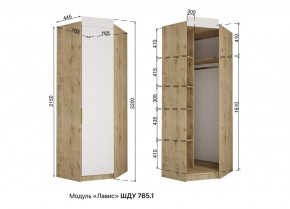 ЛАВИС Детская (модульная) белый/роза-белый софт/ручка золотая в Ишиме - ishim.ok-mebel.com | фото 11