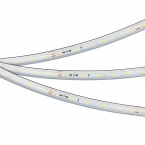 Лента светодиодная Arlight IC-PS-A60-10mm 24V 050656 в Ишиме - ishim.ok-mebel.com | фото