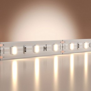 Лента светодиодная Maytoni Base 201163 в Ишиме - ishim.ok-mebel.com | фото 2