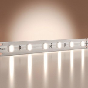 Лента светодиодная Maytoni Base 201167 в Ишиме - ishim.ok-mebel.com | фото