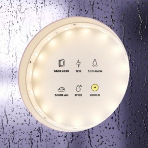 Лента светодиодная Maytoni Led strip 10105 в Ишиме - ishim.ok-mebel.com | фото 2