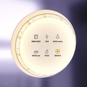 Лента светодиодная Maytoni Led strip 10108 в Ишиме - ishim.ok-mebel.com | фото 2
