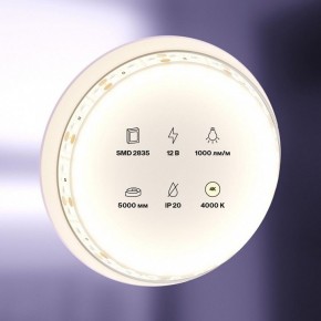 Лента светодиодная Maytoni Led strip 10109 в Ишиме - ishim.ok-mebel.com | фото 2