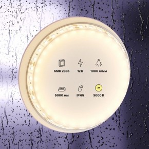Лента светодиодная Maytoni Led strip 10111 в Ишиме - ishim.ok-mebel.com | фото 2