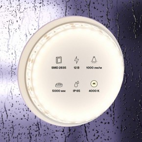 Лента светодиодная Maytoni Led strip 10112 в Ишиме - ishim.ok-mebel.com | фото 2