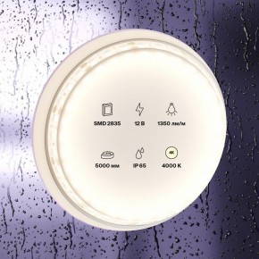 Лента светодиодная Maytoni Led strip 10118 в Ишиме - ishim.ok-mebel.com | фото 2