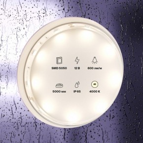 Лента светодиодная Maytoni Led strip 10124 в Ишиме - ishim.ok-mebel.com | фото 2