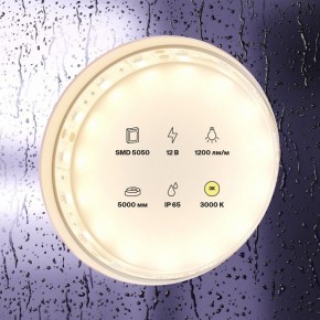 Лента светодиодная Maytoni Led strip 10131 в Ишиме - ishim.ok-mebel.com | фото 3