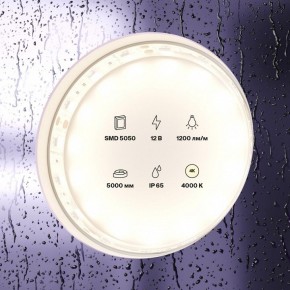 Лента светодиодная Maytoni Led strip 10132 в Ишиме - ishim.ok-mebel.com | фото 2