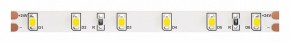 Лента светодиодная Maytoni Led strip 10141 в Ишиме - ishim.ok-mebel.com | фото