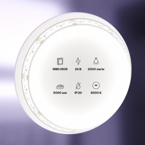 Лента светодиодная Maytoni Led strip 10156 в Ишиме - ishim.ok-mebel.com | фото 2