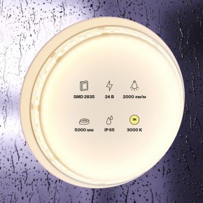 Лента светодиодная Maytoni Led strip 10157 в Ишиме - ishim.ok-mebel.com | фото 2