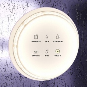 Лента светодиодная Maytoni Led strip 10158 в Ишиме - ishim.ok-mebel.com | фото 2