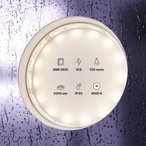 Лента светодиодная Maytoni Led strip 20005 в Ишиме - ishim.ok-mebel.com | фото 2