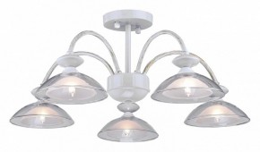 Люстра на штанге Arti Lampadari Noventa Noventa E 1.1.5 W в Ишиме - ishim.ok-mebel.com | фото