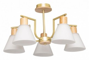 Люстра на штанге De City Дэла 45 635016505 в Ишиме - ishim.ok-mebel.com | фото