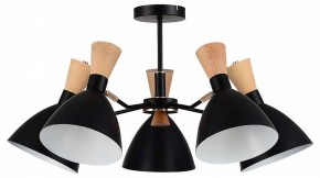 Люстра на штанге EVOLUCE VISTA SLE1256-402-05 в Ишиме - ishim.ok-mebel.com | фото