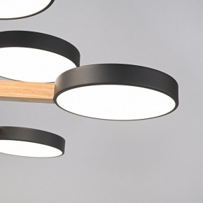 Люстра на штанге Imperiumloft TURNA Black TURNA-DBL01 в Ишиме - ishim.ok-mebel.com | фото 8