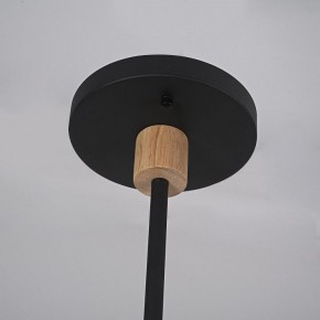 Люстра на штанге Imperiumloft TURNA Black TURNA-DBL01 в Ишиме - ishim.ok-mebel.com | фото 9