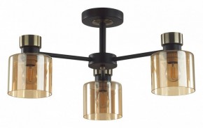 Люстра на штанге Lumion ARLIN 5643/3C в Ишиме - ishim.ok-mebel.com | фото