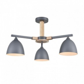 Люстра на штанге Lumion Colange 8096/3C в Ишиме - ishim.ok-mebel.com | фото 2