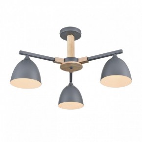Люстра на штанге Lumion Colange 8096/3C в Ишиме - ishim.ok-mebel.com | фото 3