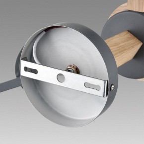 Люстра на штанге Lumion Colange 8096/3C в Ишиме - ishim.ok-mebel.com | фото 6